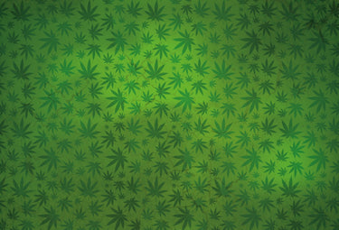 Akai Pro MPC-X Skin Weedhead